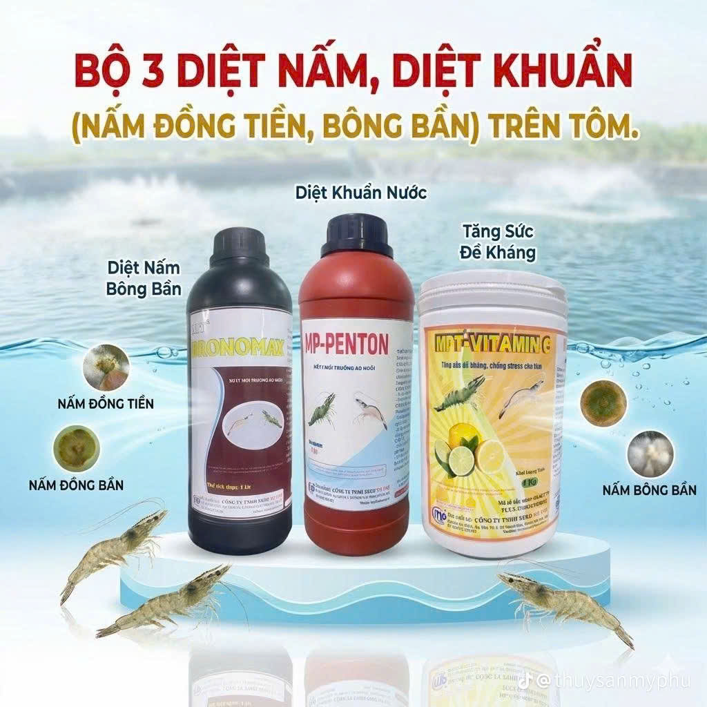 BỘ 3 DIỆT KHUẨN, DIỆT NẤM TĂNG SỨC ĐỀ KHÁNG CHO TÔM