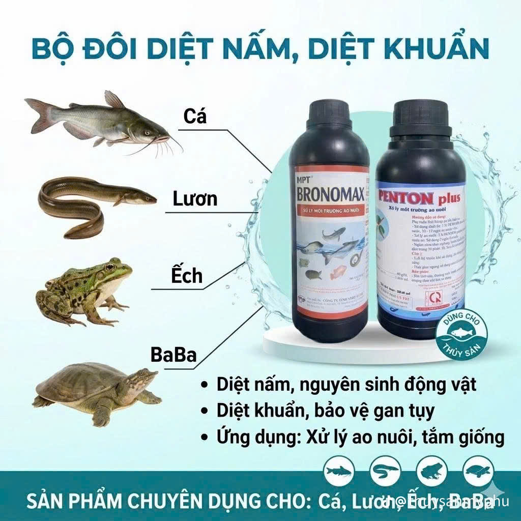 Bộ đôi diệt khuẩn diệt nấm